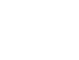 DW logo